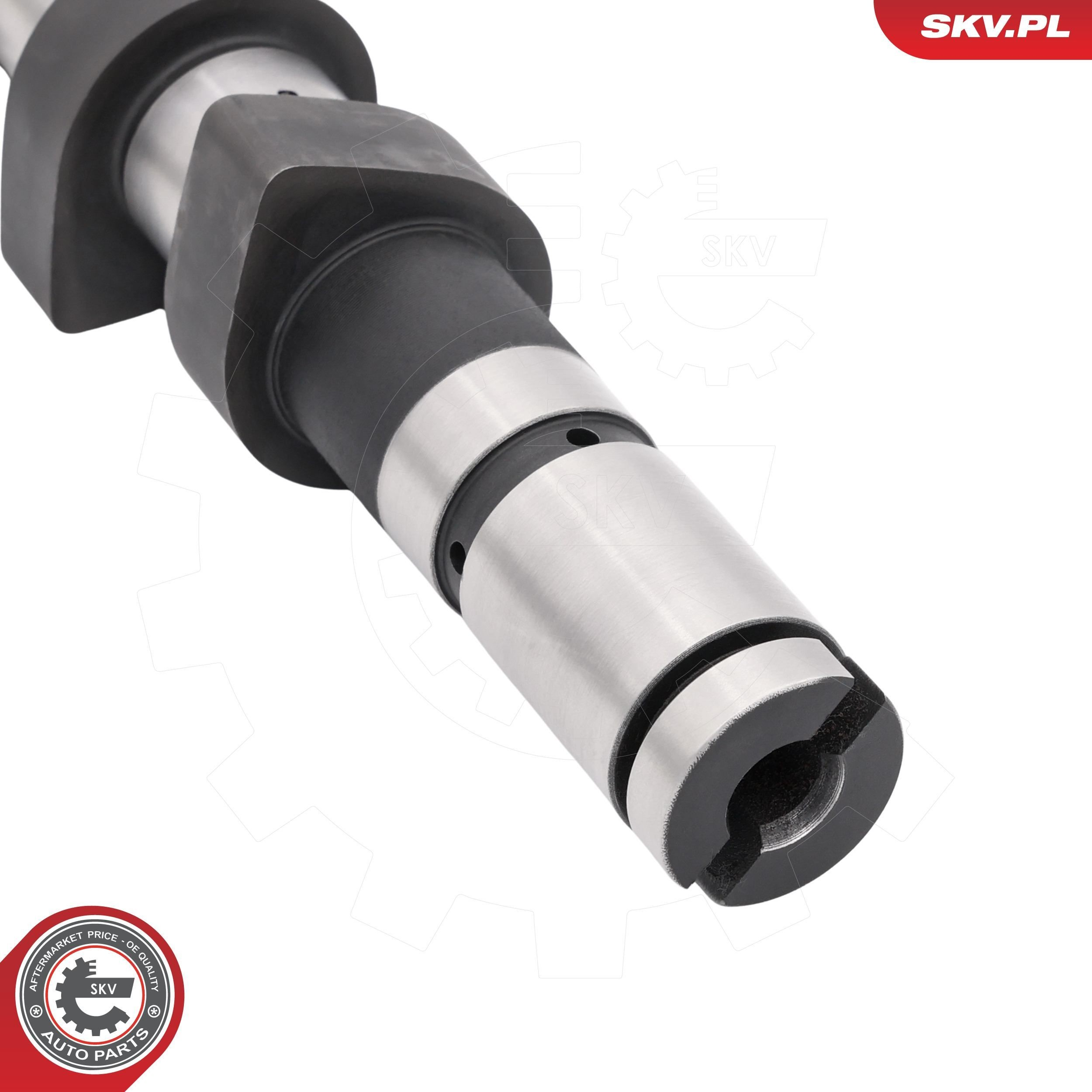 Árboles de levas para Renault Megane KM0, KM1